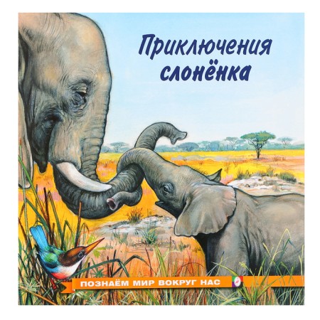 We know the world around us "The Adventures of the Elephant"