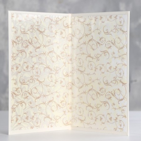Folder for the birth certificate "White" Bumvinyl, laminate A5-1