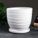 Flower "Tenderness" Pot is white 4.7 liters