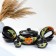 Set for Pskovsky Dumplings 1.4l / dish 34x25cm / 4x0.2l, ladybug
