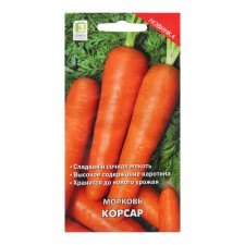 Carrot seeds 