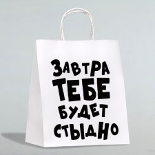 Gift package “Tomorrow will be ashamed of you”, 24 x 10.5 x 32 cm
