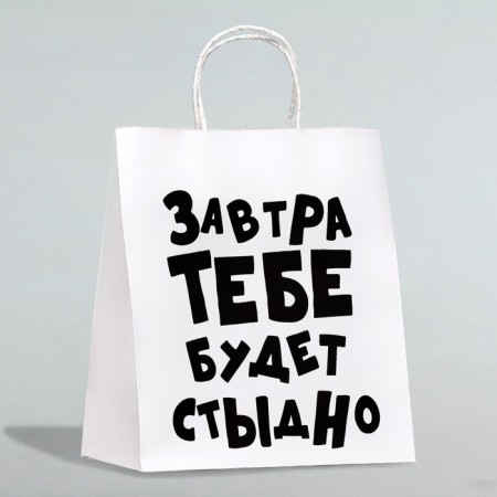 Gift package “Tomorrow will be ashamed of you”, 24 x 10.5 x 32 cm