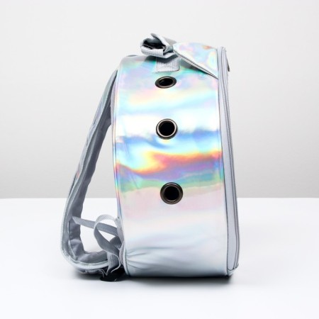 Round backpack for carrying animals, transparent, 26 cm, gray-1