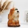 Brash stand "Dog", with brush