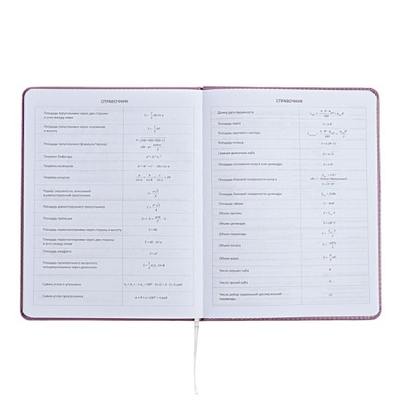 Universal diary for grade 1-11 Mentality, hard cover, artificial leather, liesse, 80 g/m2-8
