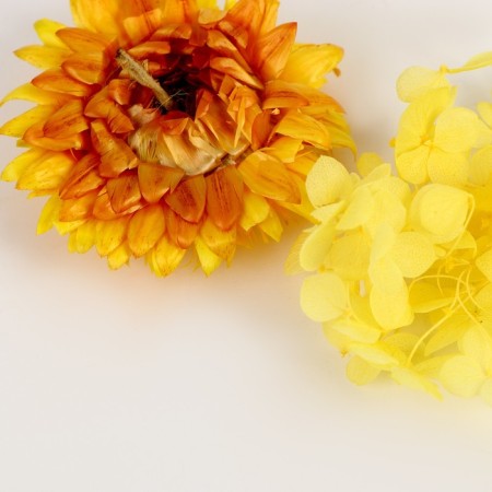 Set of dried flowers "Summer Field"-2