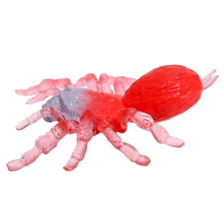 Toy Truck "Spider" with silicone paws, mix in package-2