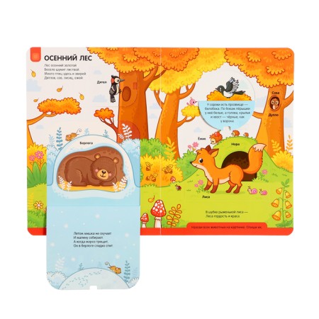 Play and Learn "Forest"-4