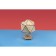 Designer Wooden 3D Ewa Globe Icosahedron with a secret (box, safe)