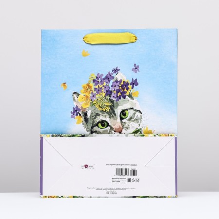 Gift package "kitten", 26 x 32 x 12 cm-1