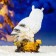 Garden figure "Owl with a bouquet of roses" White, 26cm