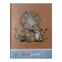 Universal diary for grades 1-11 "Tigers at the Globe", solid cover, glossy lamination, cheat sheet, 48 sheets