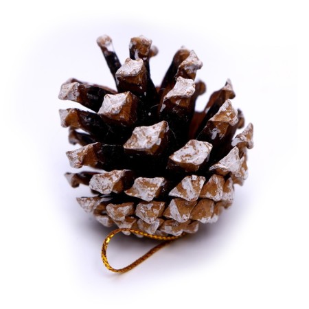 A set of natural decor "Magic cones", a set of 6 pcs.-1