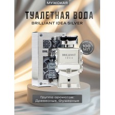Men's toilet water Brilliant Idea Silver, 100 ml