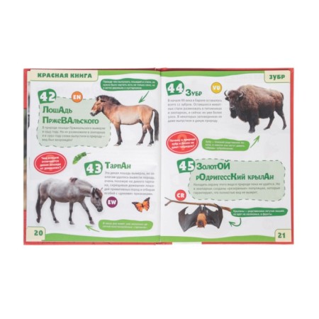 Encyclopedia with developing tasks "Red Book"-3
