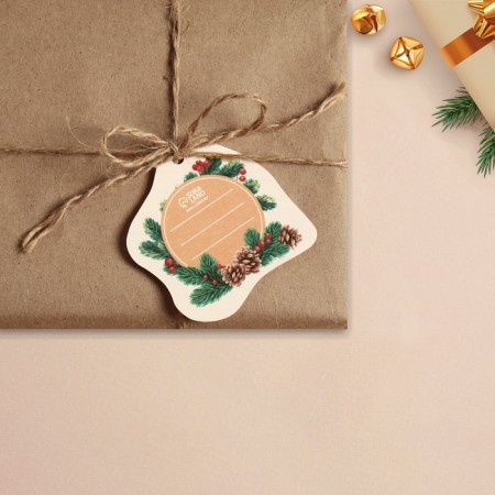 Schildik for a gift New Year "Snegier", 6.5 x6.3 cm, New Year-3