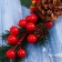 Decor "Winter Charm" berries Berry Blue Flower, 30 cm