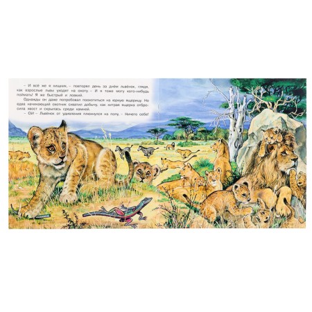 We know the world around us "The Adventures of the Lioness"-2