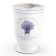 LavenDer denture
