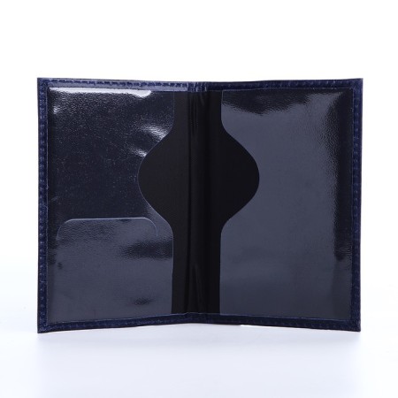 Cover for passport, blue color-2