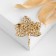 Brooch "Leaf", the color is light brown in gold