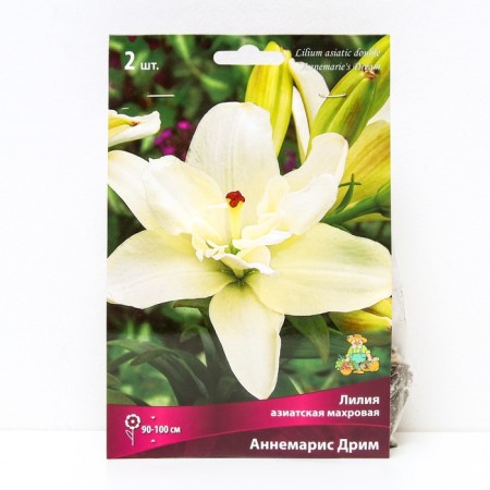 Lilia Asian terry Annemaris Dream, 14/16 rr, 2 pcs. 90-110 h (cm), autumn 2024