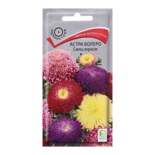 Seeds of Flowers of Astra 