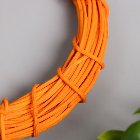Ring Roadan for manufacturing the catfish "Orange" d = 10 cm-1