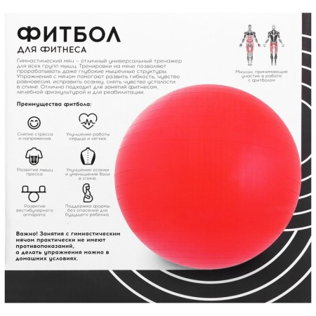 Fitball ONLYTOP, D = 85 cm, 1400 g, anti -wings, purple color-9