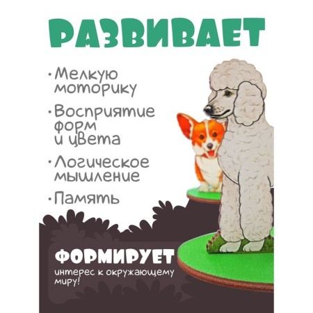 Game set in the box "Dogs decorative"-1