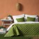 Cover with pillowcases "Kim", size 160x220 cm, grass of grass