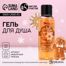 Shower gel, 100 ml, aroma of gingerbread, pure happiness