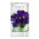 Eustoma flower seeds large -flowered suite blue, 5pcs