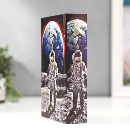 Safe Brush Tree to the Kozhzam "Cosmonaut on the Moon" 21x13x5 cm-3