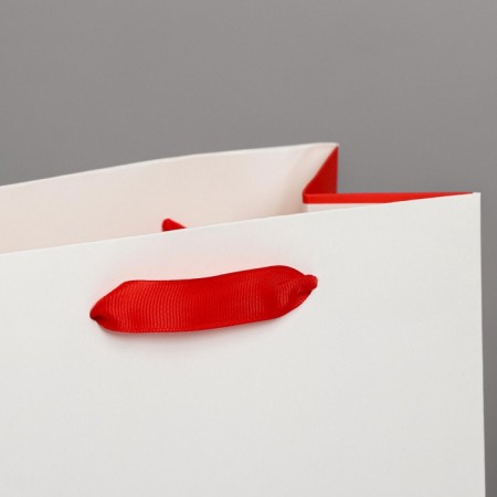 Package Gift Laminated Vertical, Packaging, Love, MS 18 x 23 x 10 cm-3