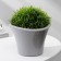 Kashpo for flowers with an insert "Lagoon", 600 ml, d = 13 cm, h = 9 cm, color gray color
