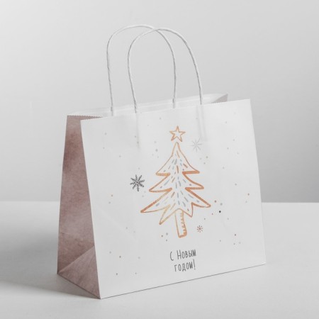 Package Gift craft "Magic", 25 x 22 x 12 cm, New Year