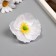 Budon on the leg for decoration "Rudbeckia White" 6.5x6.5 cm