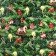 Glossy packaging paper "New Year tree", 70 x 100 cm, New Year