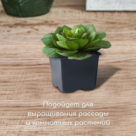 Pot for seedlings, 320 ml, D = 8 cm, h = 7 cm, black, Greengo-2