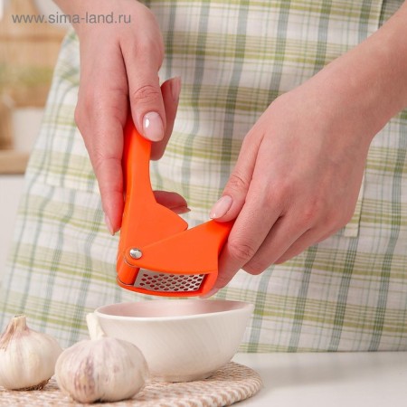 Press for garlic shares "Duck", 16 cm, color mix-6