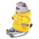 Soft toy "Basik", in a tracksuit, 22 cm