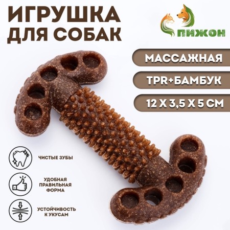 Dog toy "Key", TPR+Bamboo, Massage, 12 x 3.5 x 5 cm