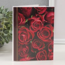 Photo album for 36 photos 