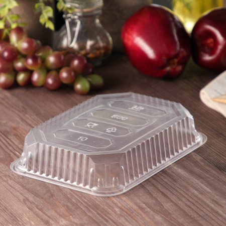 Container plastic disposable “JPPLAST”, 500 ml, 18.6 × 13.2 × 3.3 cm, the color is transparent-1