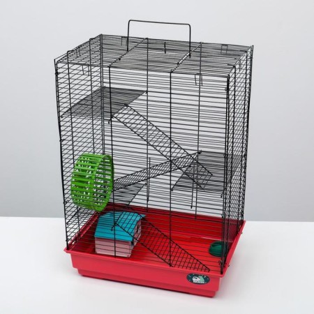 The cage for rodents "Pigzon" No. 5, with 3 floors, equipped, 41 x 30 x 58 cm, ruby-3