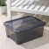 Storage container with a KIP lid, 11 l, 37.5 × 28.5 × 16 cm, black color is transparent