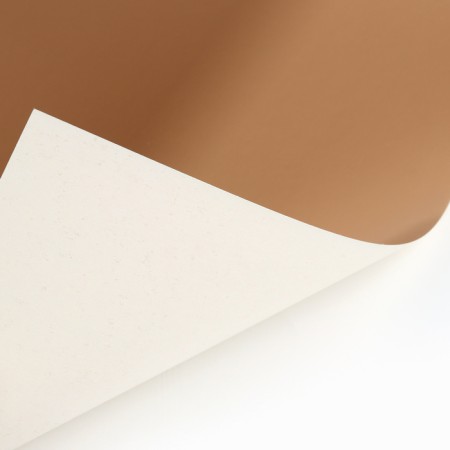 Cardboard color, A4, 15 sheets, 15 colors, coated, one -sided, in a folder, 220 g/m², puppy patrol-2