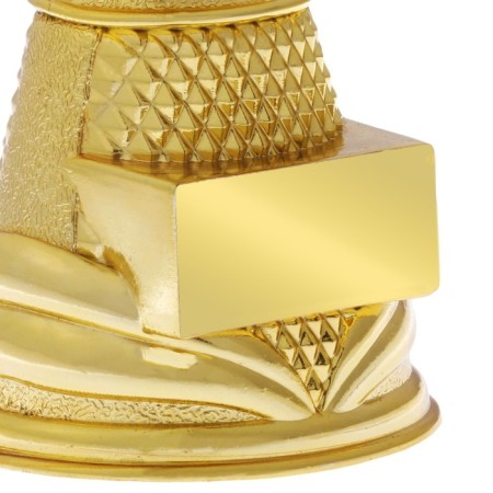 The award figure is “Nika”, a stand plastic gold, 18.5 x 7 x 6 cm.-3